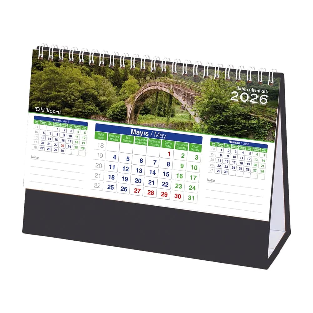 AMT-01-TS